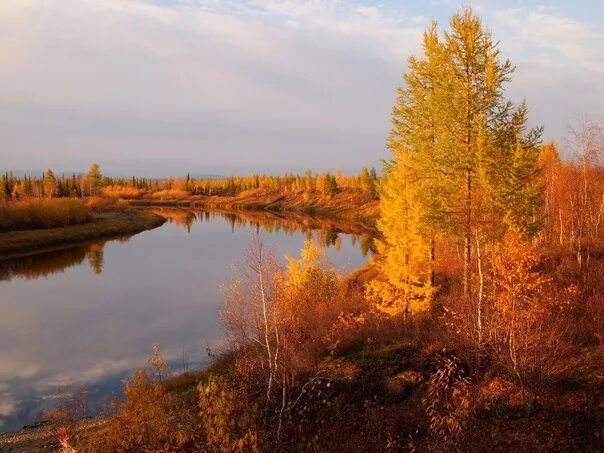 Река осенью в сибири фото Вечер на реке Фото: Галина Баранова 2022 Это Сибирь! Алтай, Байкал. Путешествия.