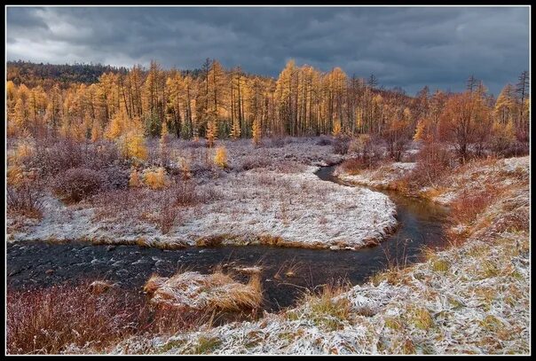 Река осенью в сибири фото Таёжный ручей. Прибайкалье, Иркутская обл. Фото: Евгений Карский 2022 Это Сибирь