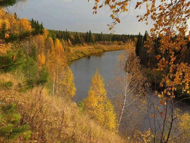 Река осенью в сибири фото Осенняя тайга - ЯПлакалъ