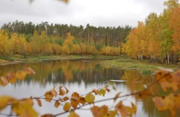 Река осенью в сибири фото "Не надо бояться октября, октябрь прекрасен, быть может, прекраснее всех месяцев