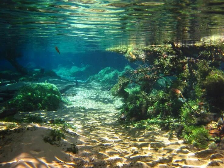 Река под водой фото Blue lake cave in Brasil Nature pictures, Underwater photography, Scenery