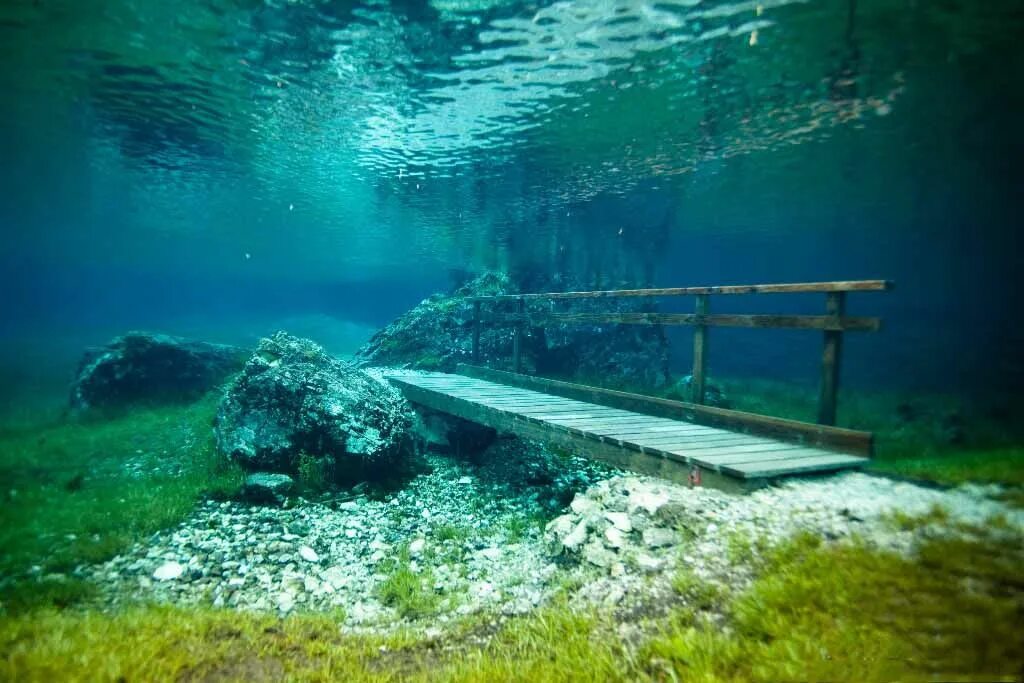 Река под водой фото Чудо из чудес: самые красивые и необычные парки мира - Елена Миронова