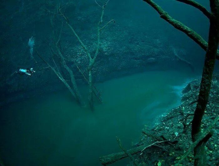 Река под водой фото Underwater River, Cenote Angelita, Mexico Underwater river, Underwater lake, Bre