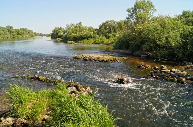 Река проня фото Уровень воды в реке Проня превысил опасную отметку zviazda.by