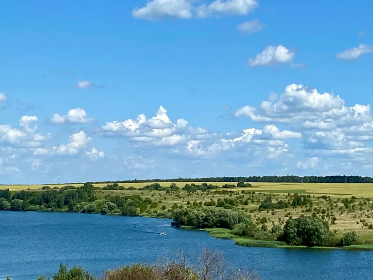 Река проня фото Маршрут выходного дня. Вдоль реки Проня Гремячее - Пронское водохранилище - Арап