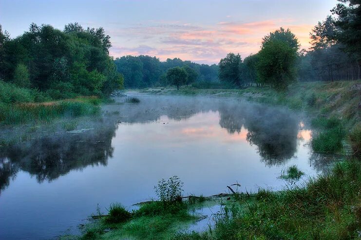 he Pshel River in July 2008 Sumy - Gadyach