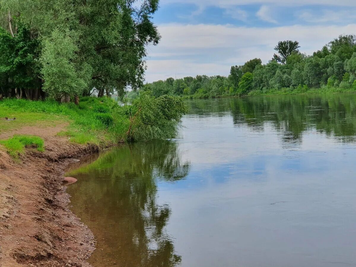 Река сакмара фото В Оренбуржье с начала купального сезона утонули 6 детей в водоемах области - ОРТ