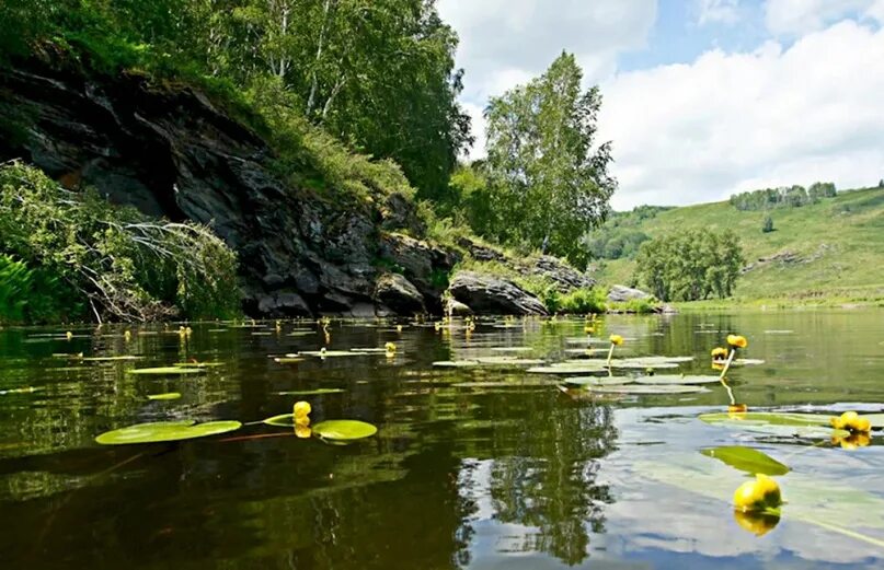 Река сакмара фото Река Сакмара https://oclo.ru/reka-sakmara 2023 Oclo ВКонтакте