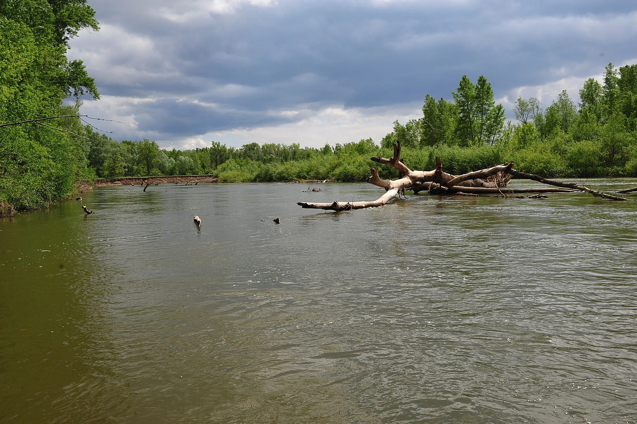 Река сакмара фото Водно-экологическая экспедиция по реке Сакмара (с.Воздвиженка - с.Чёрный Отрог: 