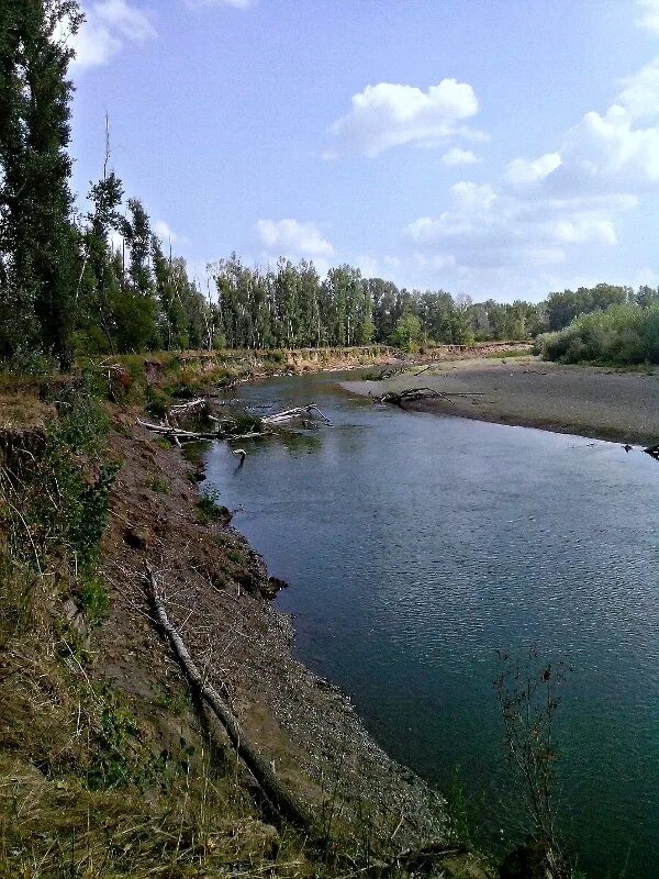 Река сакмара фото Республиканский биологический заказник "Днепро-Сожский" ГОМЕЛЬСКИЙ ОБЛАСТНОЙ КОМ