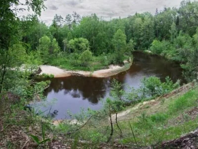 Река сережа фото Вачский район, Нижегородская область, Сайт газеты Вачская газета, По родным мест