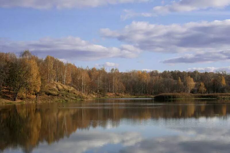 Река сестра фото Заказник Верховья реки Большой Сестры, лесопарк, г.о. Истра, д. Шаблыкино - Янде