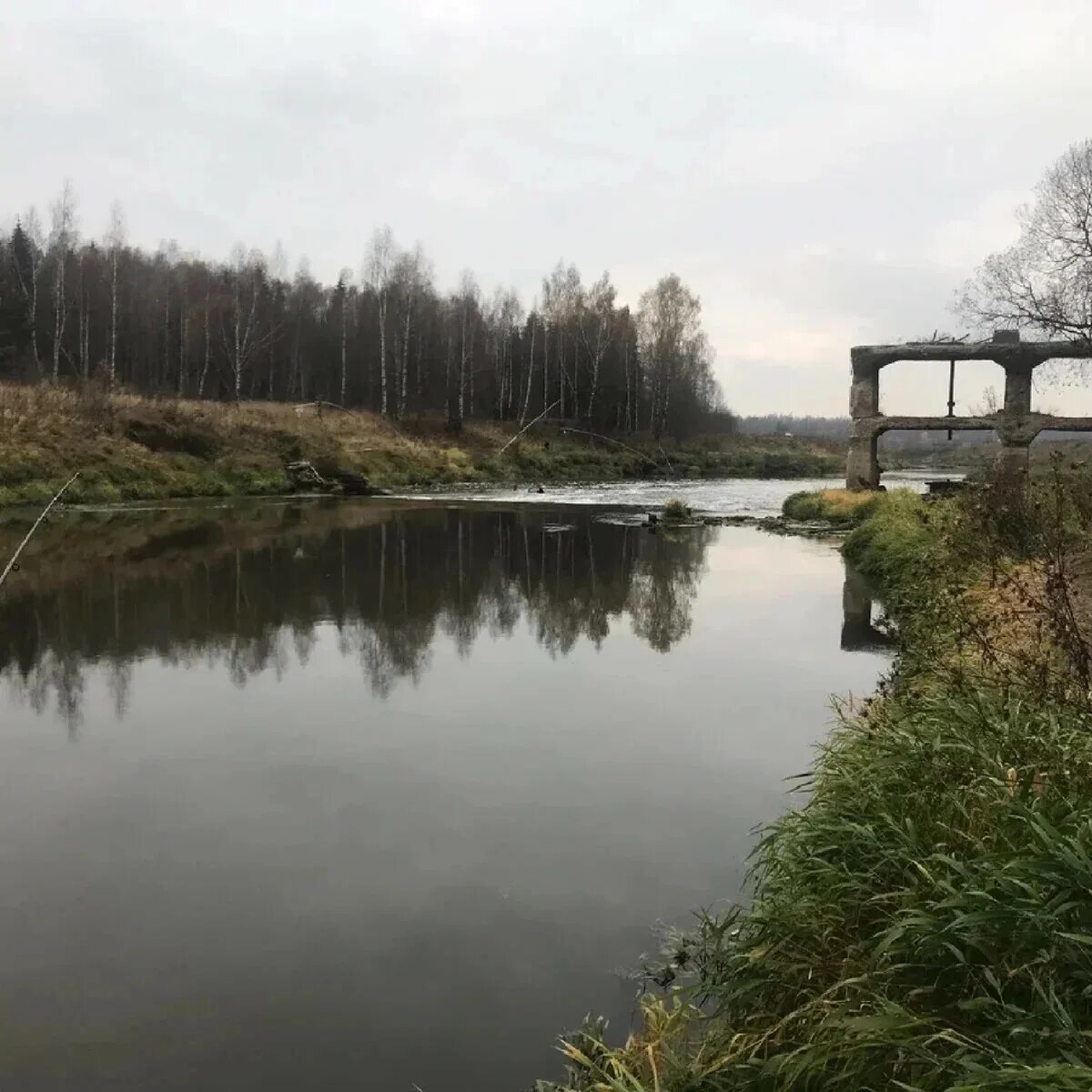 Река сестра фото Река Сестра. Деревня Дутшево Поговорим о.......? Дзен