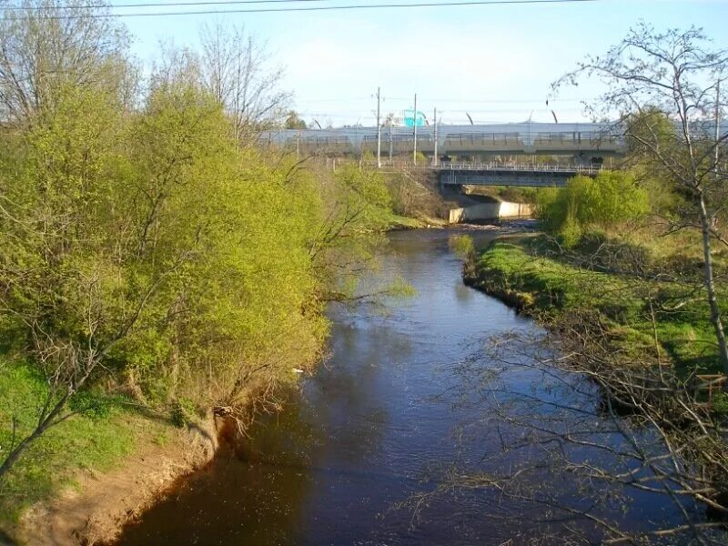 Река сестра фото Берегом моря в Зеленогорск