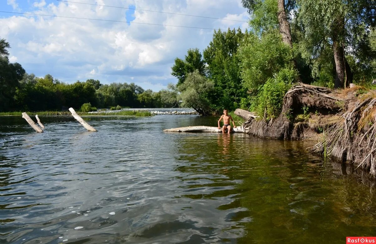 Река сейм фото курская область Фото: На реке Сейм... Фотограф путешественник Андрей Rockster. Пастораль. Фотоса