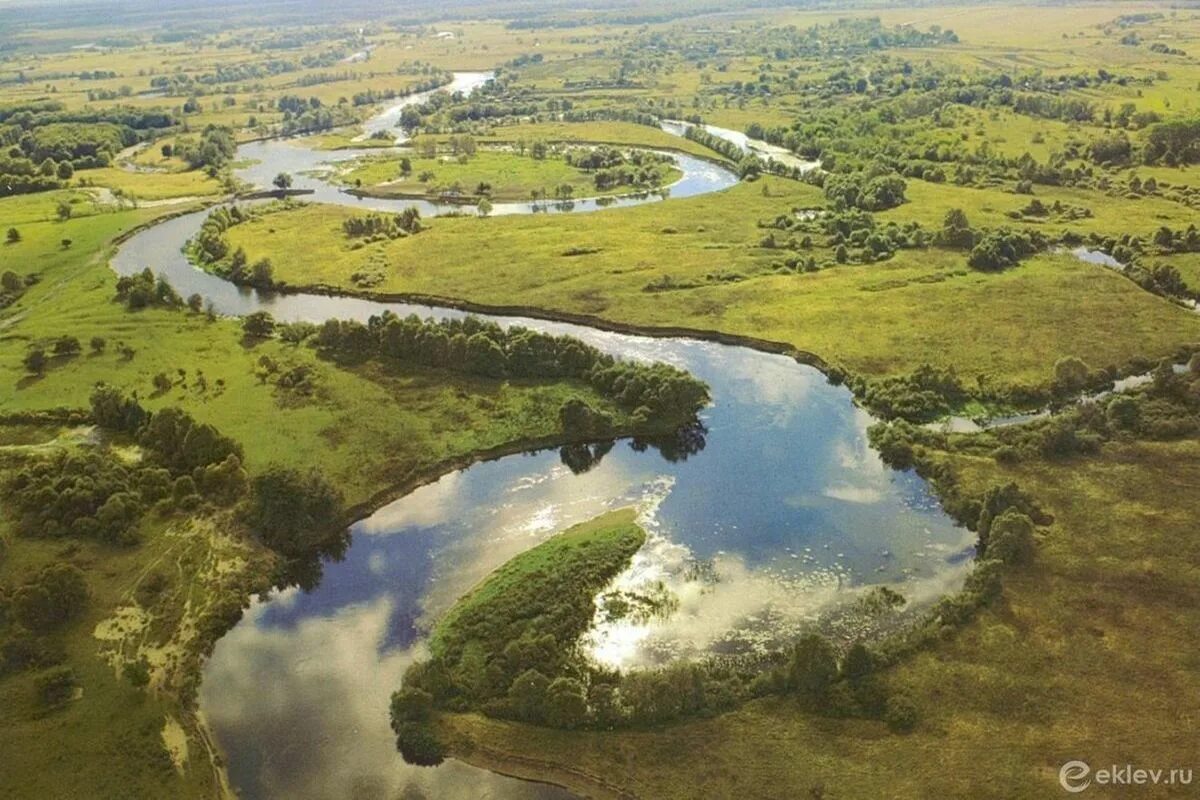 Река сейм фото курская область В Курской области реабилитируют реку Сейм - МК Черноземье