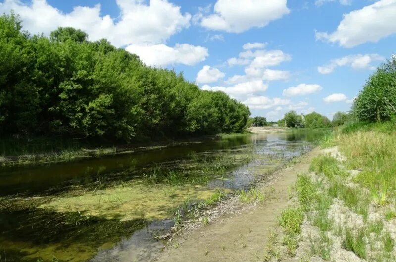 Река сейм фото курская область Куряне сообщают об обмелевшей реке Сейм " 46ТВ Курское Интернет Телевидение