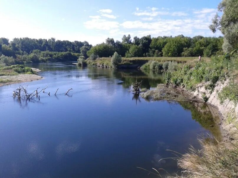 Река сейм фото курская область Река Сейм в Курской области. 2023 Красоты мира ВКонтакте