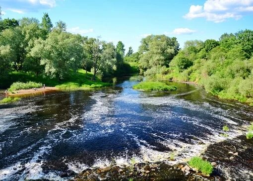 Река шелонь фото Река шелонь новгородская