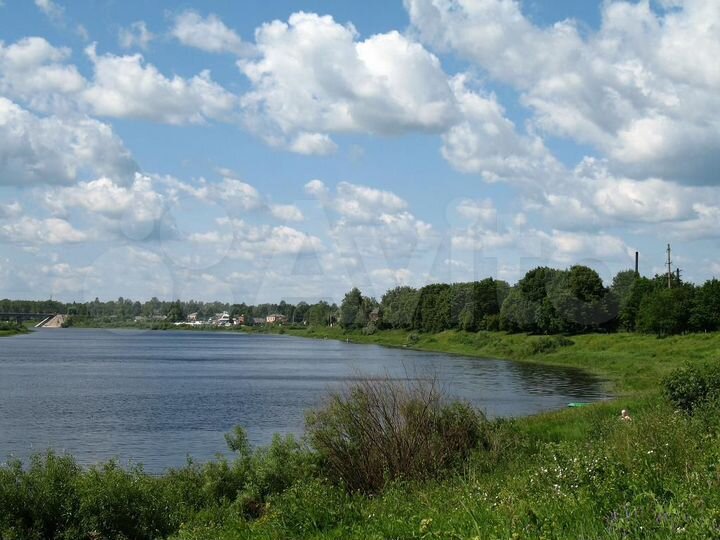 Река шелонь фото Река шелонь новгородская область