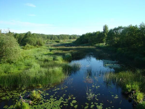 Река сить фото Летние каникулы - стихи собственного сочинения. Пишем всё..., про всё..., пользо