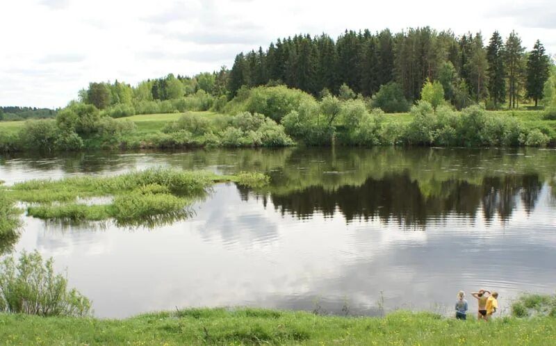 Река сить фото Река Сить (Вологодская область)