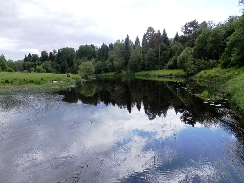 Река сить фото Река Сить Марийские Лесоходы