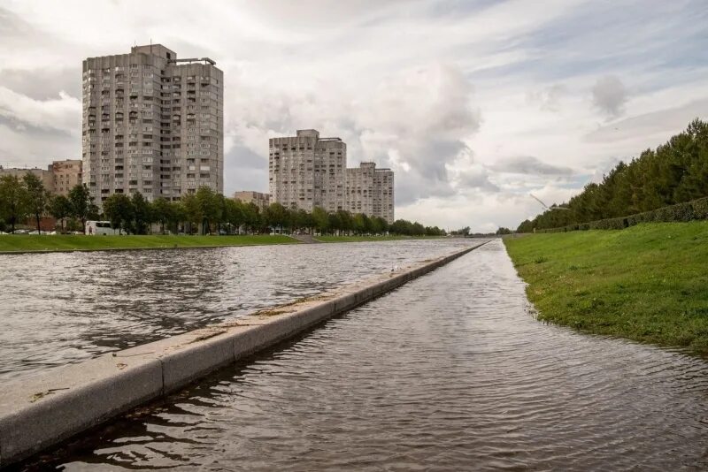 Река смоленка фото В Санкт-Петербурге возбуждено уголовное дело по факту обнаружения частей тела не