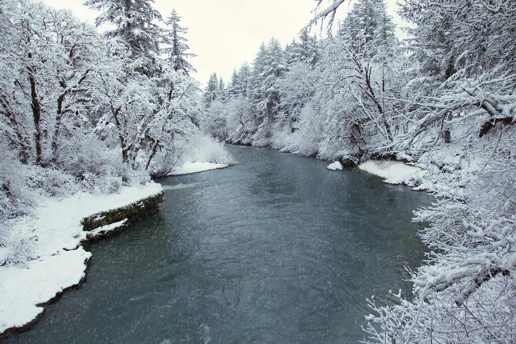 Река снежная фото Thomas Creek in snow, Oregon Thomas Creek is a stream, abo. Flickr