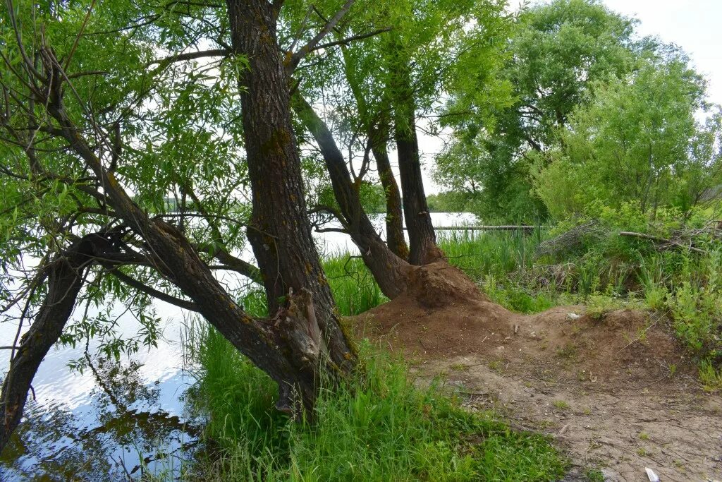 Река содышка владимир улица горького фото Прогулка по Владимиру и окрестностям. Водохранилище Содышка. Владимирский край