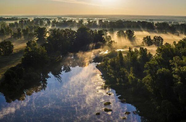 Река сок фото Там, где пряталось утреннее солнце". Река Сок, Самарская область #река_сок #сама