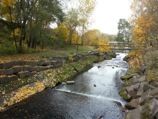 Река стрелка фото Внезапно - отзыв о Мост-плотина с водоспуском на реке Стрелке, Стрельна, Россия 