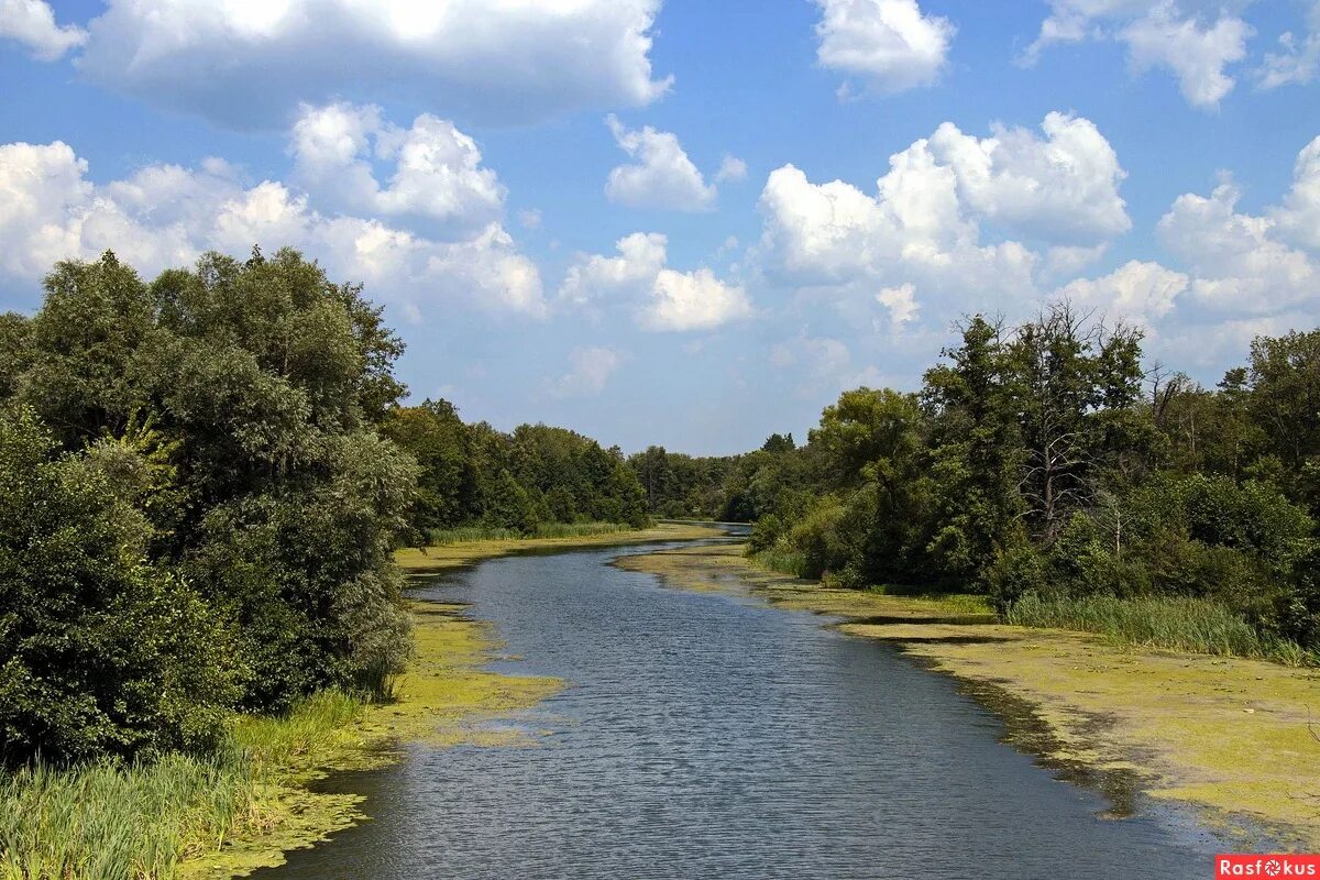 Река сура фото Фото: Сура. Фотограф Вячеслав. Пейзаж - Фотосайт Расфокус.ру