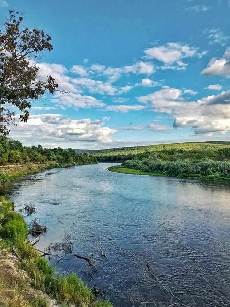 Река сура фото Река большая сура: найдено 88 изображений