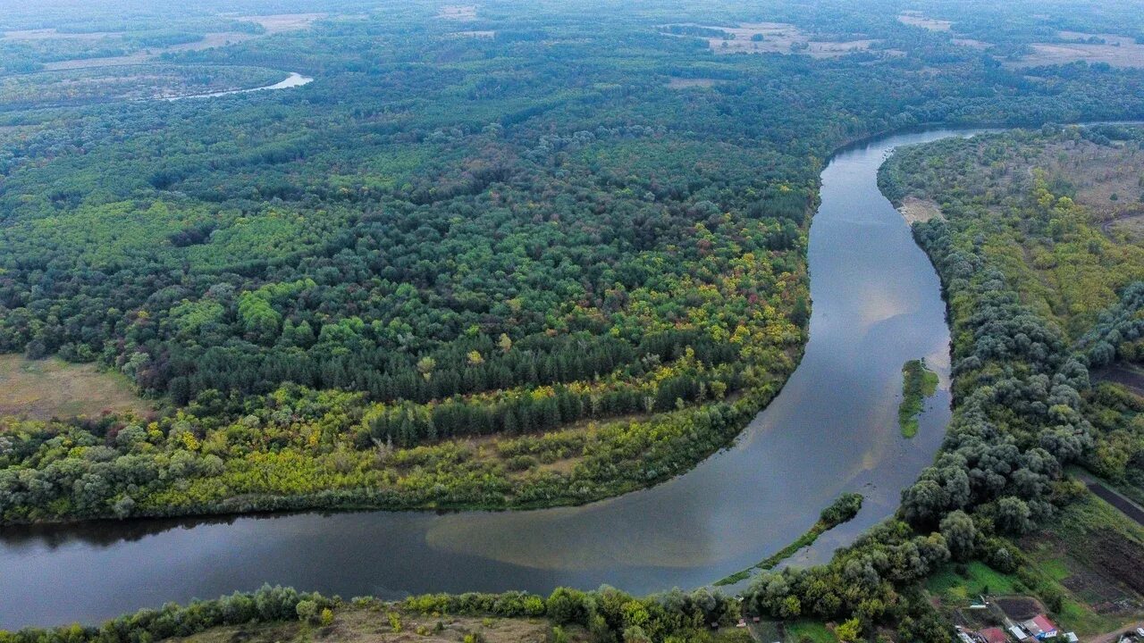 Река сура ульяновская область фото LeninSUP: Быстрая вода, холмистые берега и песчаные пляжи: особенности сплава по