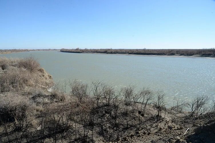 Река сырдарья фото Новое водохранилище планируют простроить в Кызылорде