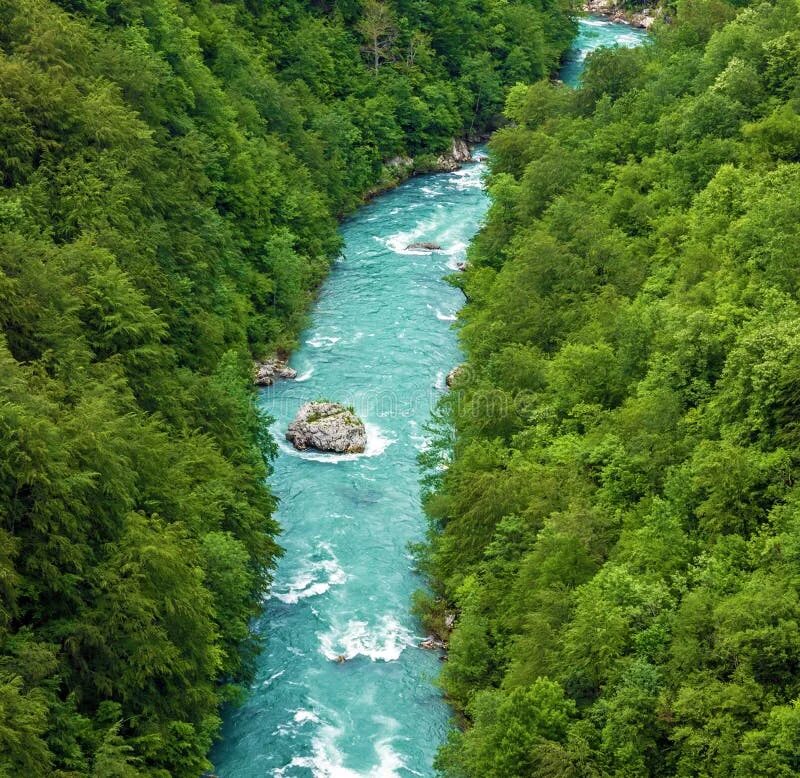 Река тара фото Mountain River Tara and Forest in Montenegro Stock Photo - Image of beach, herze