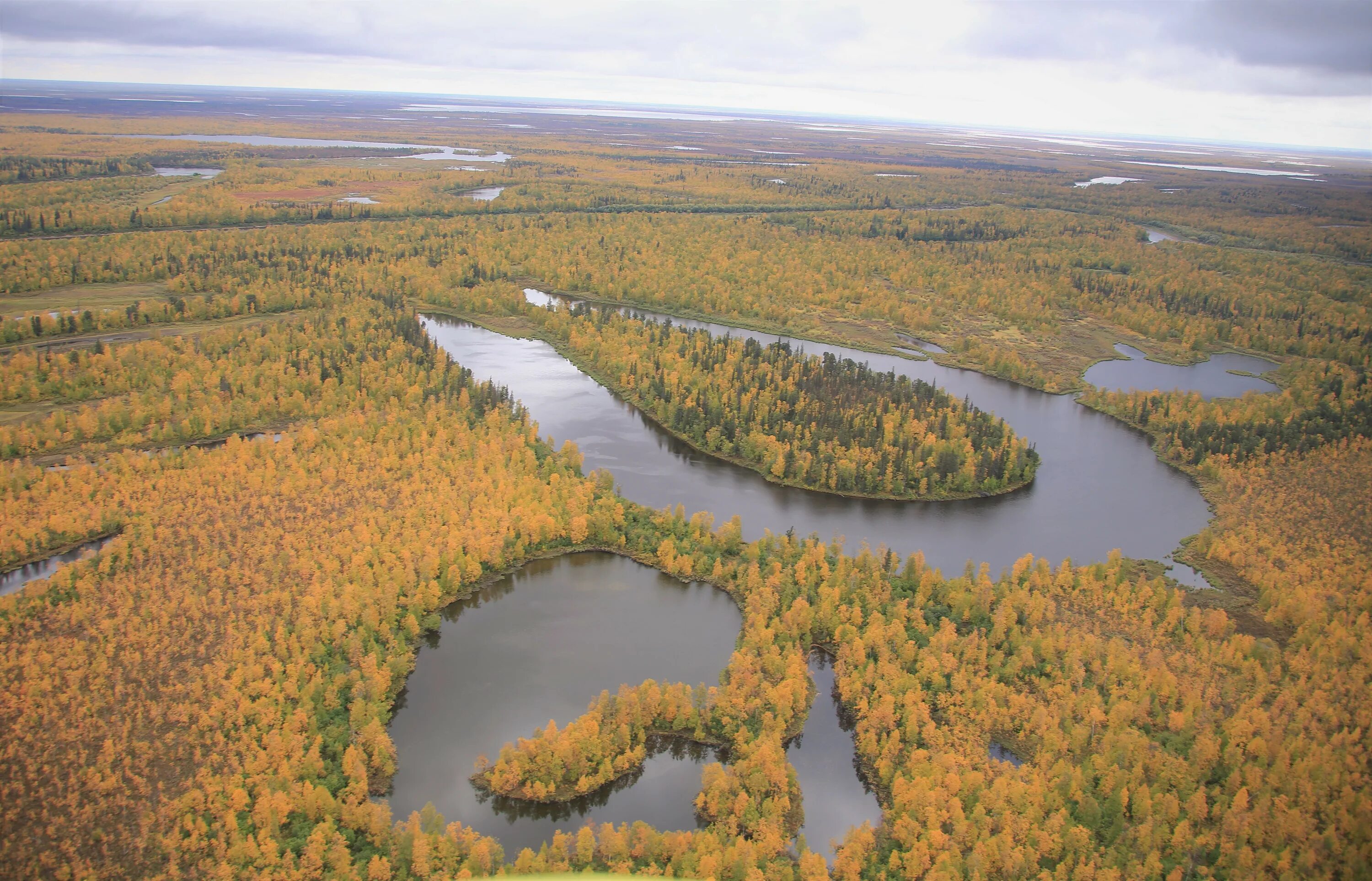 Река таз фото Реки России - Список, длина, описание, характеристики, расположение, фото и виде