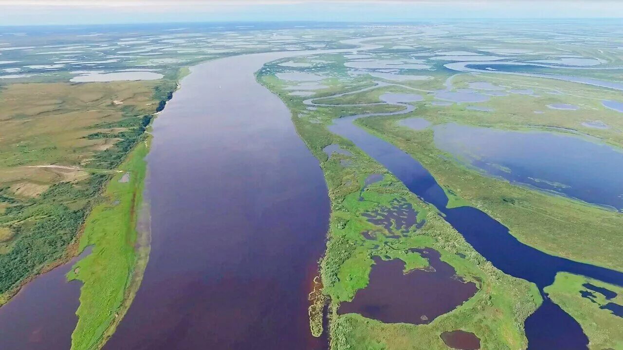 Река таз фото Western Siberian rivers and lakes emit greenhouse gases into the atmosphere