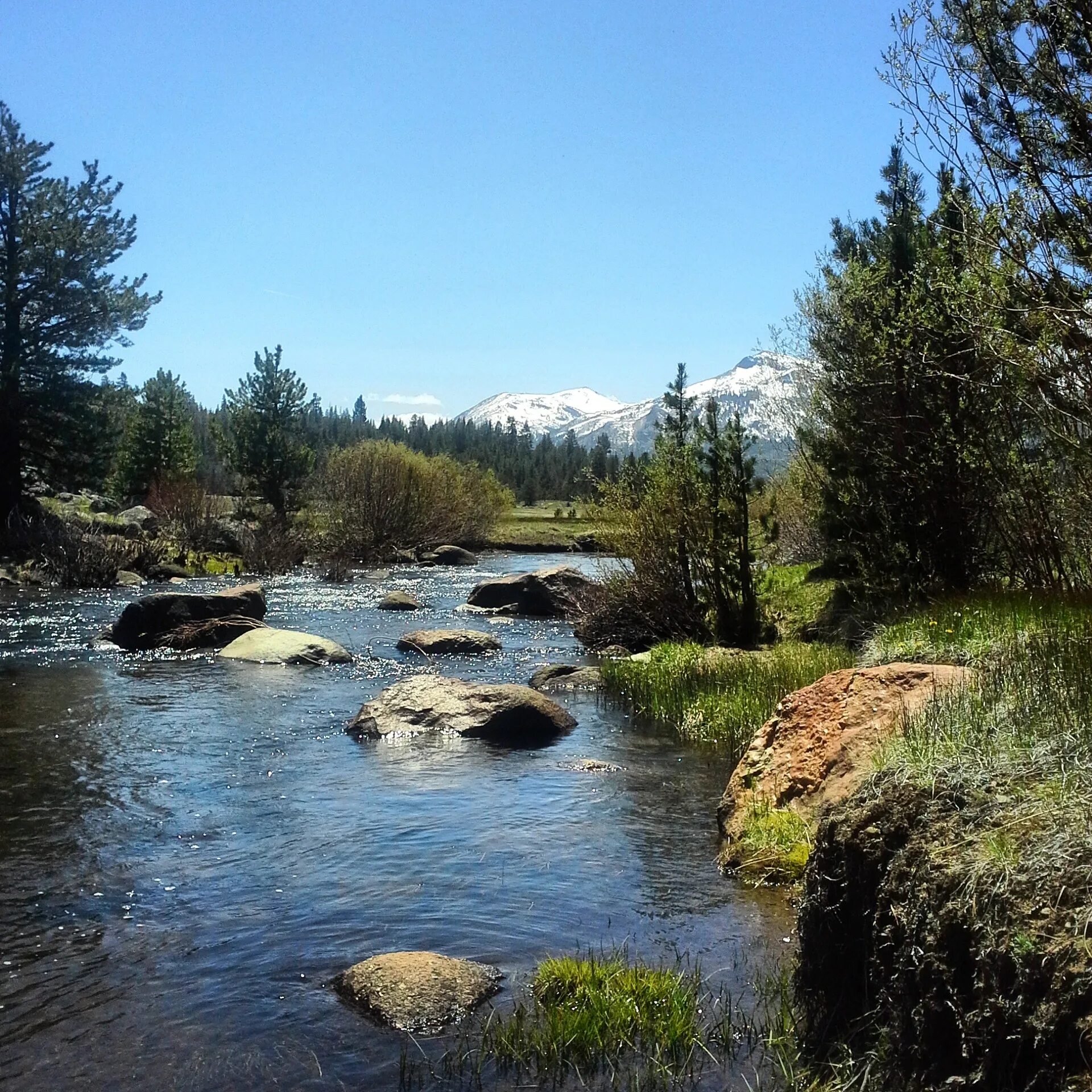 Река цена фото Free Images : landscape, nature, outdoor, creek, wilderness, meadow, lake, river