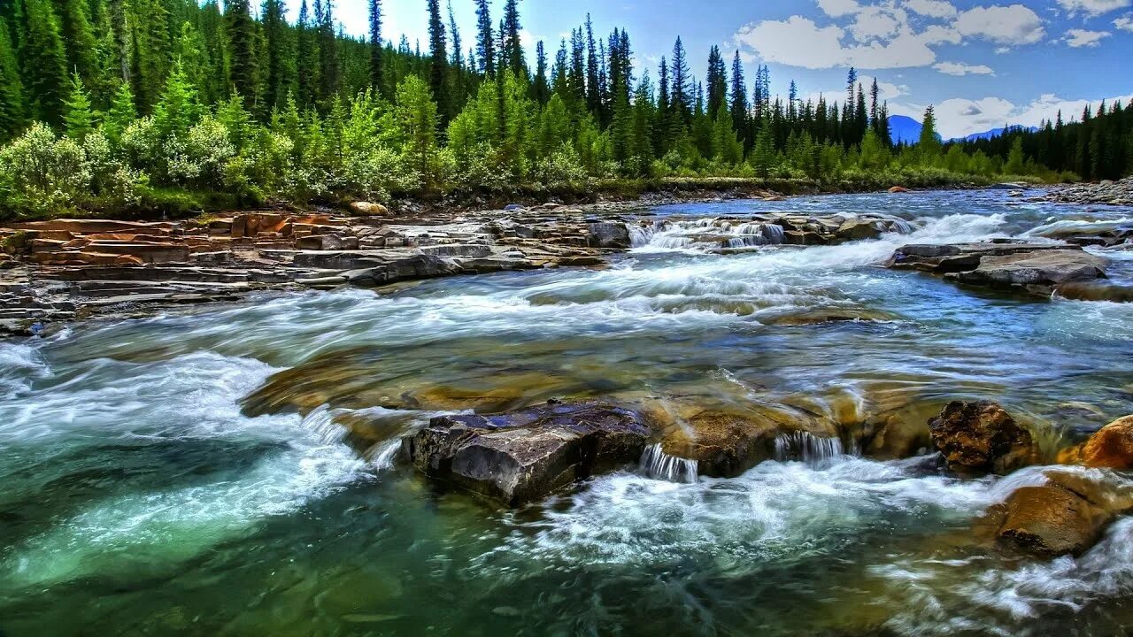 Река цена фото Relaxing River to Sleep Well and Reduce Stress. Gentle River in Forest to Improv