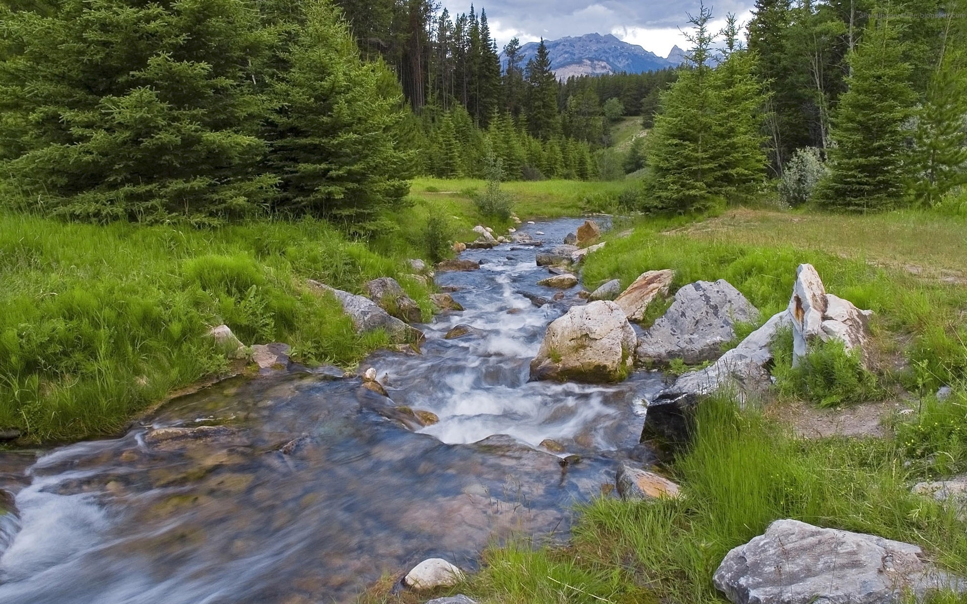 Река цена фото Wallpaper : landscape, mountains, lake, rock, grass, wood, river, wilderness, pa