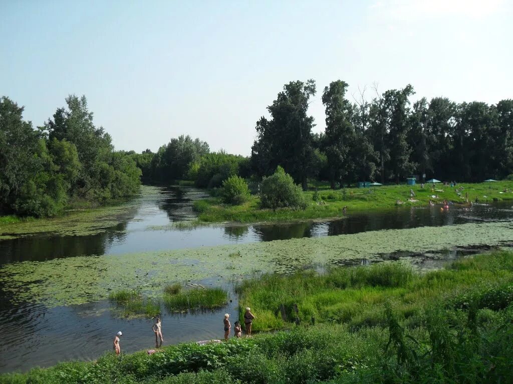 Река цна моршанск красивые фото Фото Моршанск, р. Цна в городе Моршанск