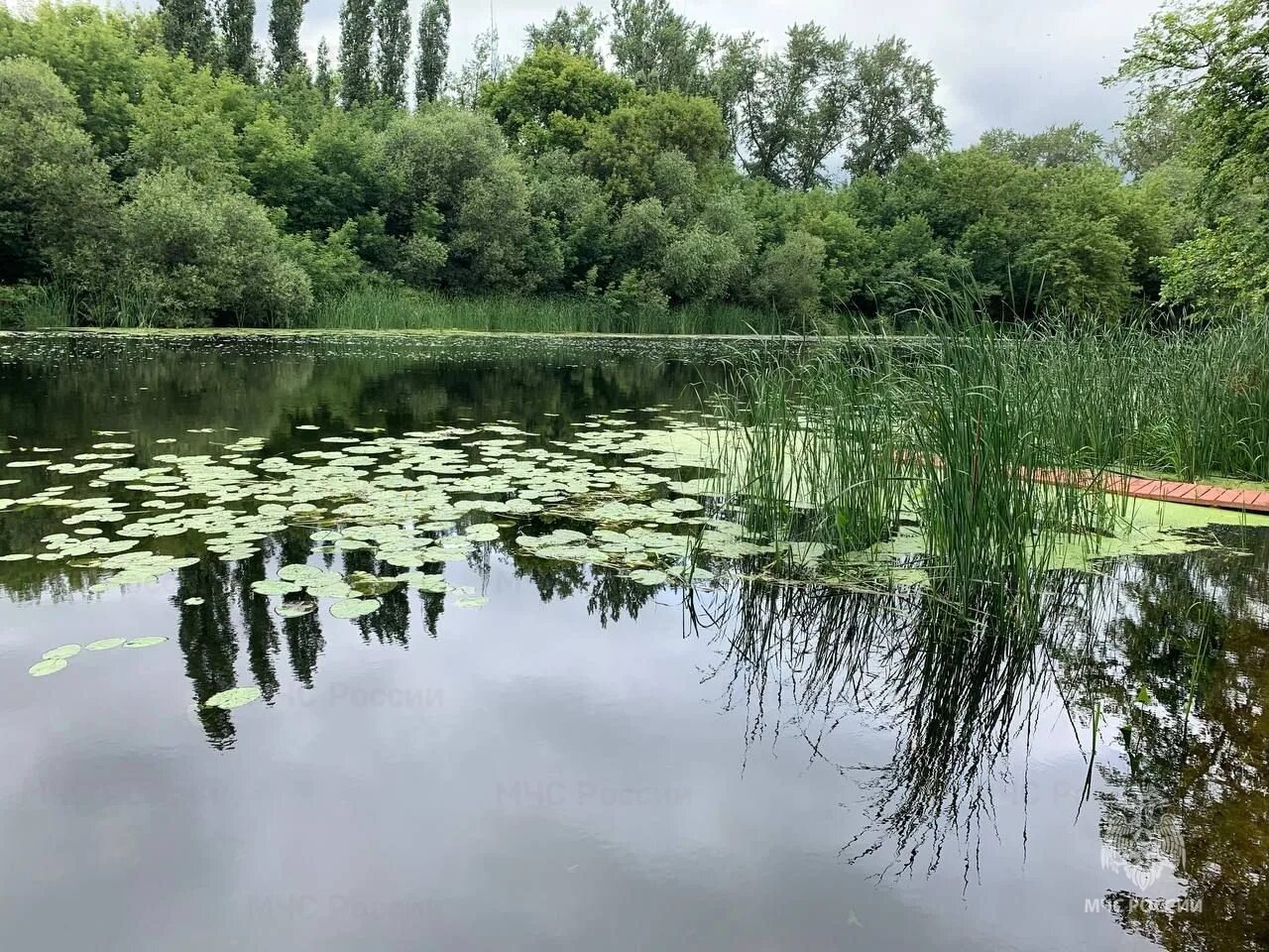 Река цна моршанск красивые фото Информация о происшествии на воде в городе Моршанске, Тамбовской области - Опера