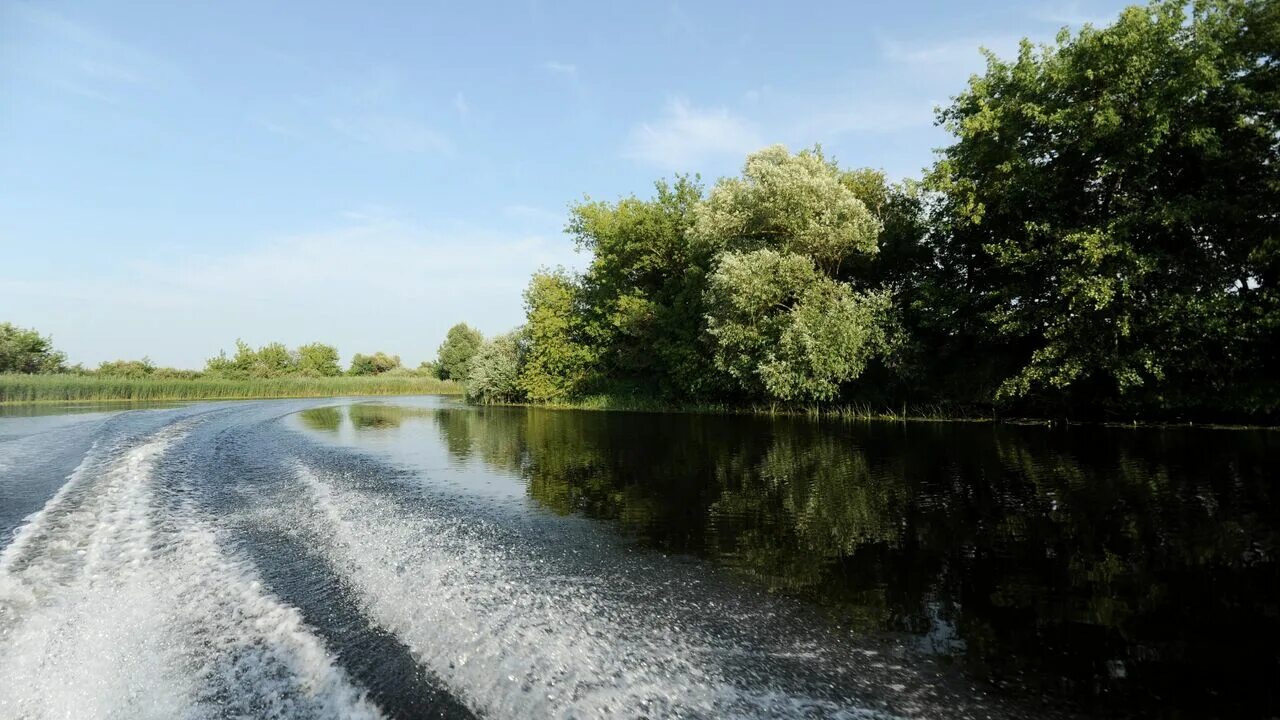 Река цна моршанск красивые фото Тамбовщина вновь стала лидером национального экологического рейтинга - РИА Новос