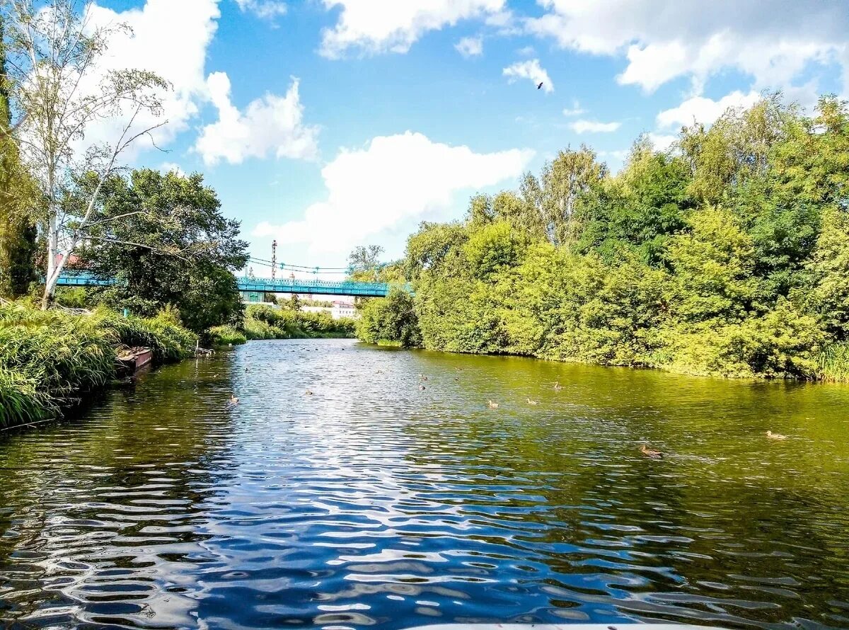 Река цна моршанск красивые фото Обстановка на водных объектах Тамбовской области на 20 мая 2022 - Новости - Глав