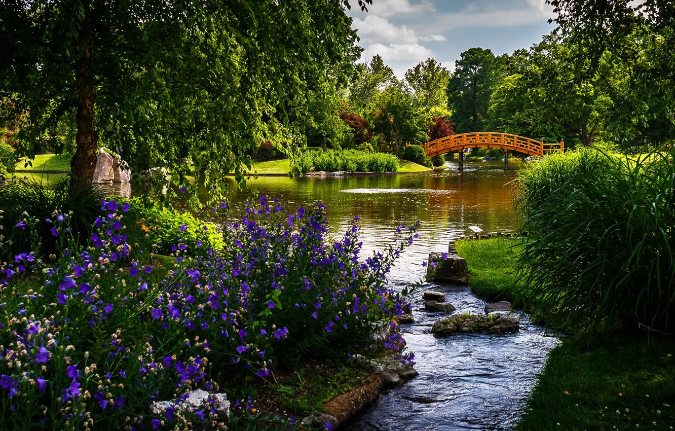 Река цветы фото Wallpaper greens, grass, the sun, trees, flowers, bridge, pond, Park for mobile 