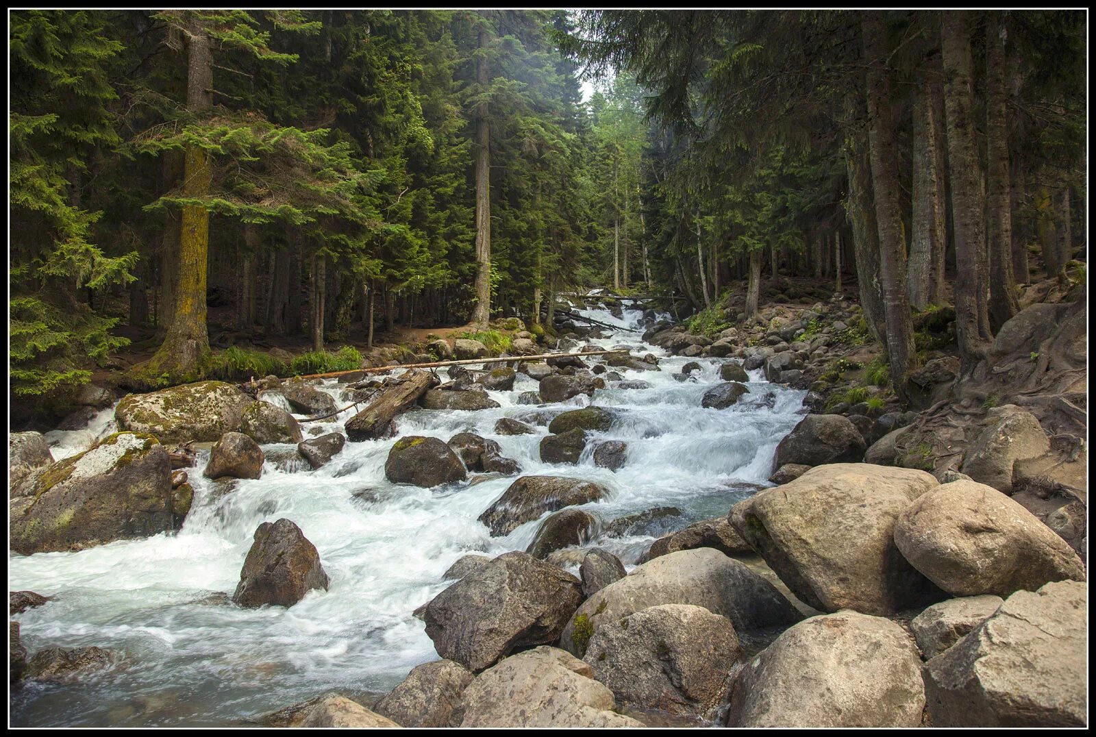 Река теберда фото Teberda travel photo Brodyaga.com image gallery: Russia Karachay-Cherkessia