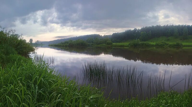 Река угра фото Национальный парк Угра, река Угра - Сергей Ершов. Фотографии - ЖЖ