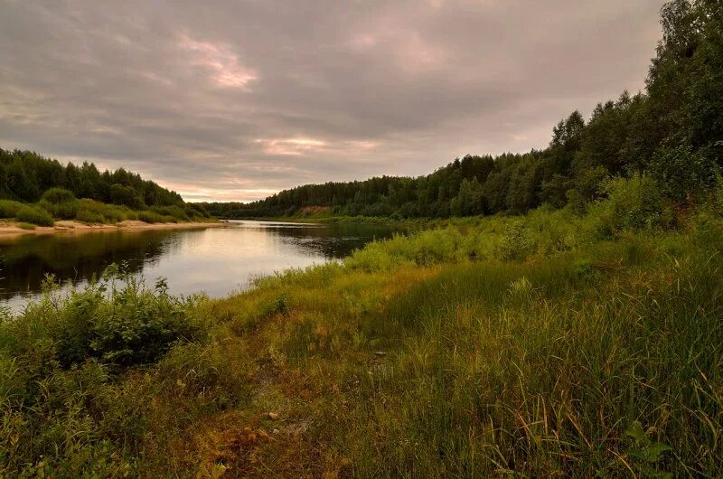 Река унжа фото Река Унжа Костромская область (81 фото)